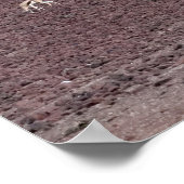 Springboks grasen nach Nahrung, die Namib-Wüste. Poster (Ecke)