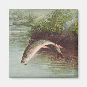 Springbrasse von S.A. Kilbourne Vintager Fisch Magnet