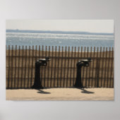 Springbrunnen auf dem Boardwalk Poster (Vorne)