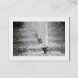 Springbrunnen (umrandet) visitenkarte
