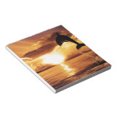 Springdolphin mit schönem Sonnenuntergang über dem Notizblock (angewinkelt)