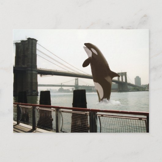 Springen der Brooklyn Bridge Postcard Postkarte (Vorderseite)