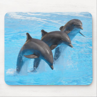 Springen der Delphin-Mäusematte Mousepad