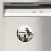 Springen des Brooklyn Bridge Magnet (In Situ (Geschirrspüler))