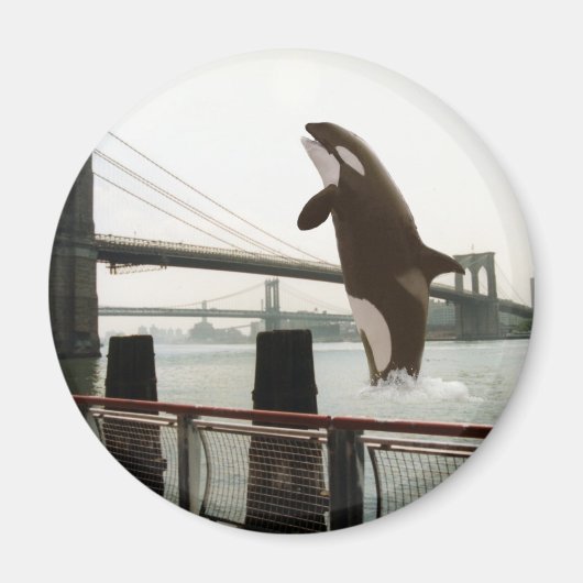 Springen des Brooklyn Bridge Magnet (Vorne)