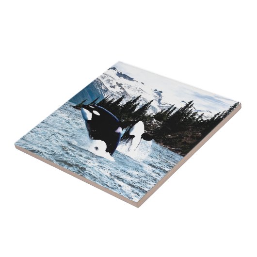 Springen des Schwertwals Fliese (Seite)