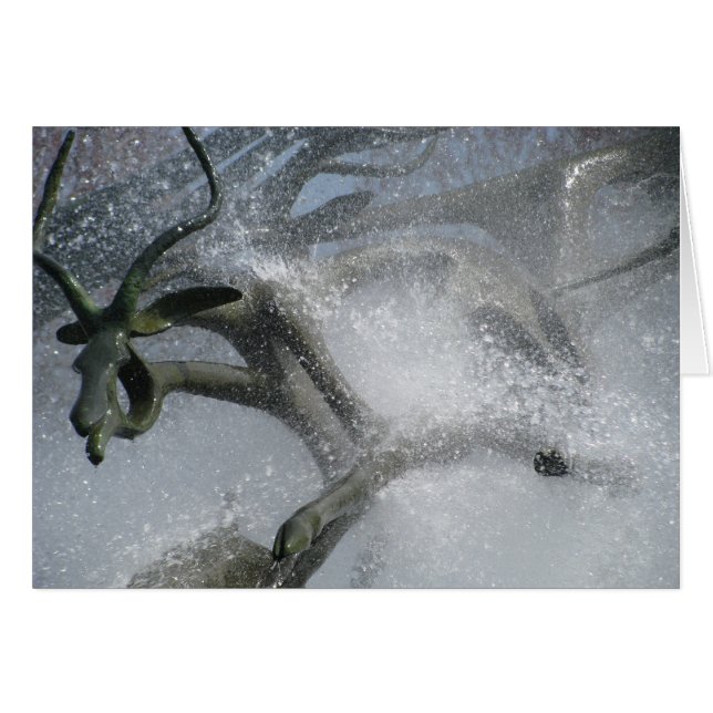 Springen des Wassers (Vorderseite (Horizontal))
