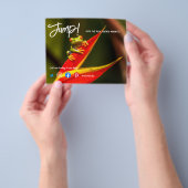 springen in den echten Anwesen Markt verkaufen Zuh Flyer (Gruppe)