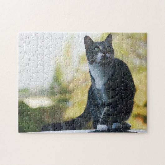 Springen katzenartig puzzle (Horizontal)