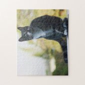 Springen katzenartig puzzle (Vertikal)