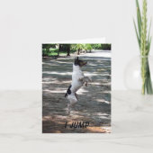 Springen Sie für Freude Karte (Vorderseite)