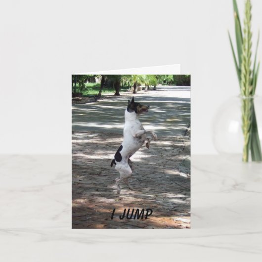 Springen Sie für Freude Karte (Vorderseite)