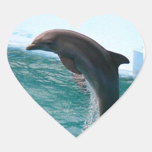 Springen von Dolphin Stickers (Vorderseite)