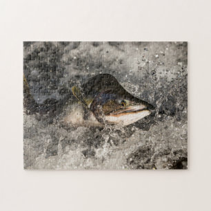 Springende Lachse Puzzle
