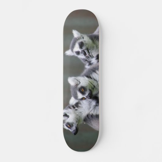 SPRINGENDE LEMUREN SKATEBOARD (Vorderseite)