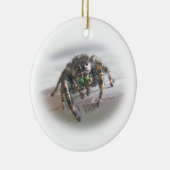 Springende Spinne Phiddipus audax Keramikornament (Rechts)