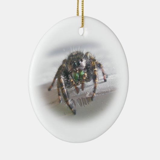 Springende Spinne Phiddipus audax Keramikornament (Rechts)