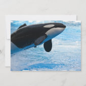 Springende Wal-Einladung Einladung (Vorderseite)