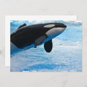 Springende Wal-Einladung Einladung (Vorne/Hinten)