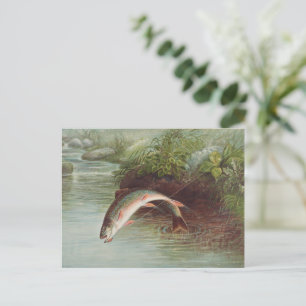 Springender Bachforelle von S.A. Kilbourne Vintage Postkarte