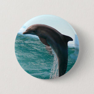 Springender Delphin-Knopf Button