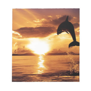 springender Delphin mit schönem Sonnenuntergang Notizblock