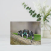 Springender Jack! Postkarte (Stehend Vorderseite)