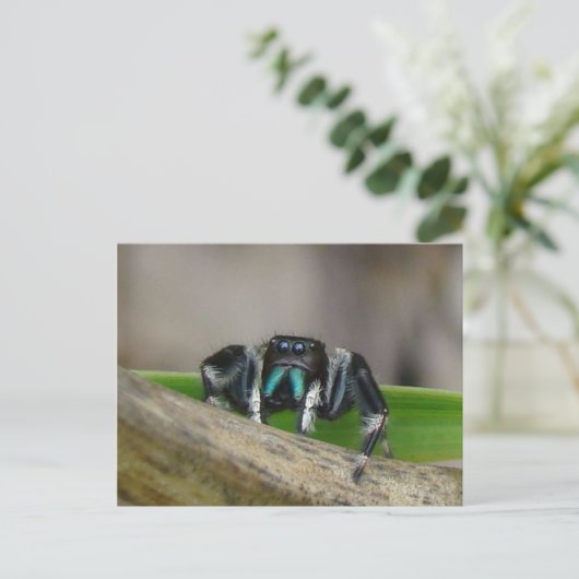 Springender Jack! Postkarte (Stehend Vorderseite)