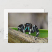 Springender Jack! Postkarte (Vorne/Hinten)