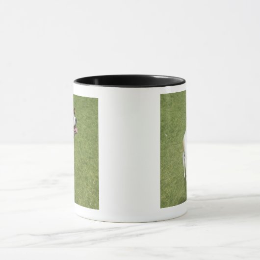 Springender Jackrussell-Terrier, erhöhte Ansicht Tasse (Zentrum)