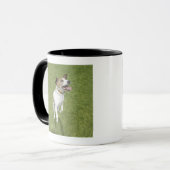 Springender Jackrussell-Terrier, erhöhte Ansicht Tasse (Vorderseite Links)