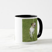 Springender Jackrussell-Terrier, erhöhte Ansicht Tasse (VorderseiteRechts)