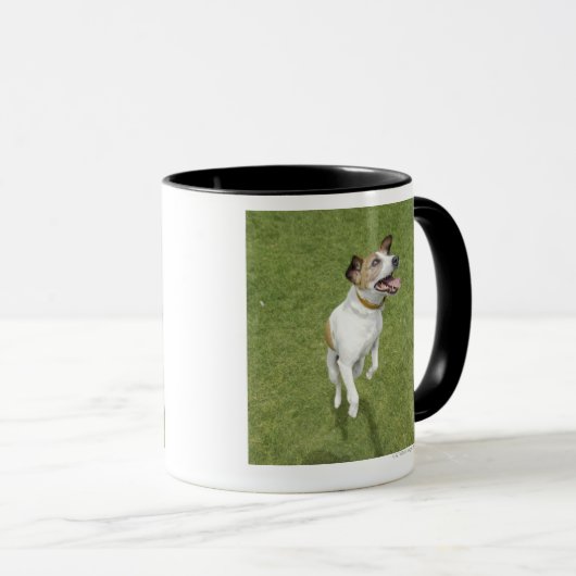 Springender Jackrussell-Terrier, erhöhte Ansicht Tasse (VorderseiteRechts)