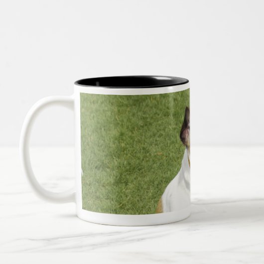 Springender Jackrussell-Terrier, erhöhte Ansicht Zweifarbige Tasse (Links)