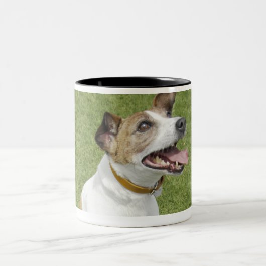 Springender Jackrussell-Terrier, erhöhte Ansicht Zweifarbige Tasse (Mittel)