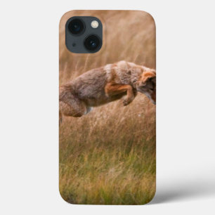Springender Kojote - Gibbon-Wiesen iPhone 13 Hülle