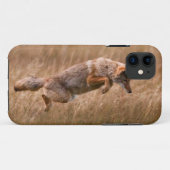 Springender Kojote - Gibbon-Wiesen Case-Mate iPhone Hülle (Rückseite (Horizontal))