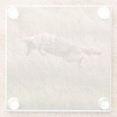 Springender Kojote - Gibbon-Wiesen Glasuntersetzer (Rückseite)
