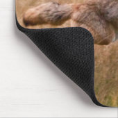 Springender Kojote - Gibbon-Wiesen Mousepad (Ecke)