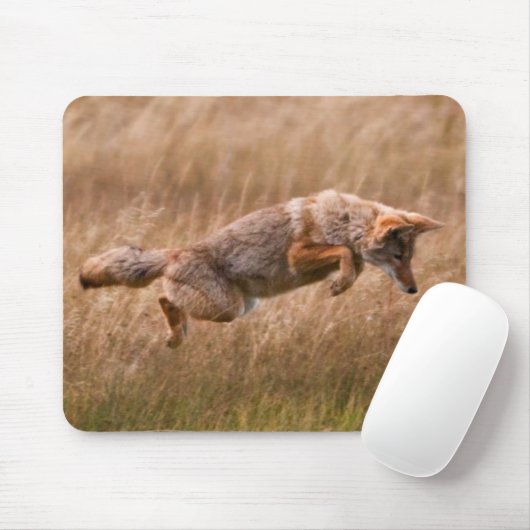 Springender Kojote - Gibbon-Wiesen Mousepad (Mit Mouse)