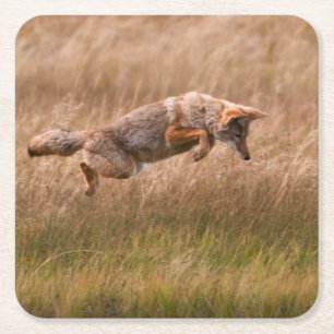 Springender Kojote - Gibbon-Wiesen Rechteckiger Pappuntersetzer