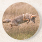 Springender Kojote - Gibbon-Wiesen Sandstein Untersetzer (Vorne)