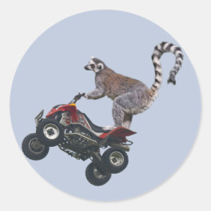 Springender Lemur Aufkleber