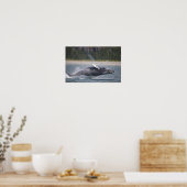 Springender Wal Foto Poster (Küche)