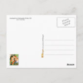 Springendes Pferd (Springendes Pferd) Postkarte (Rückseite)
