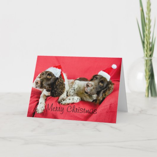 Springer Feiertagskarte (Vorderseite)