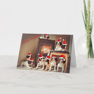 Springer Puppy Christmas Karte