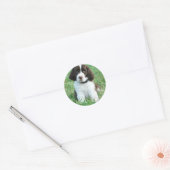 Springer Puppy Stickers (Umschlag)