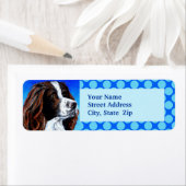 Springer Spaniel (Insitu)