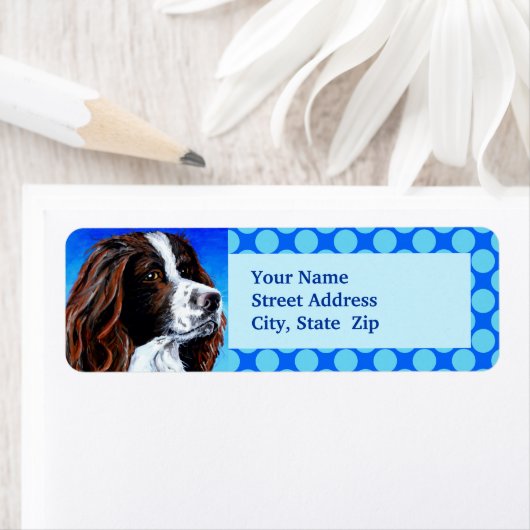 Springer Spaniel (Insitu)